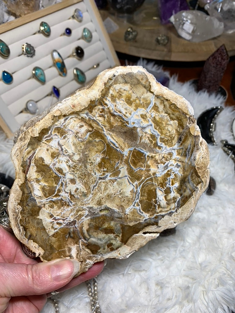 Petrified Wood charging plate - Madagascar