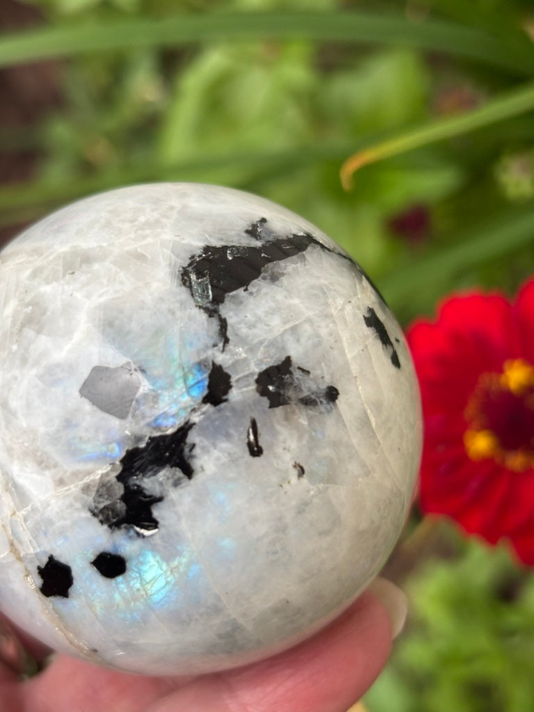 Rainbow Moonstone - Sphere | India