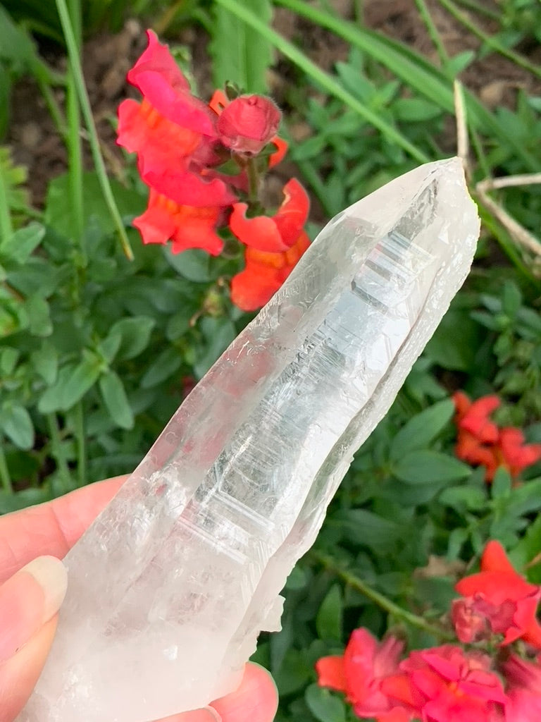 Lemurian Quartz Point