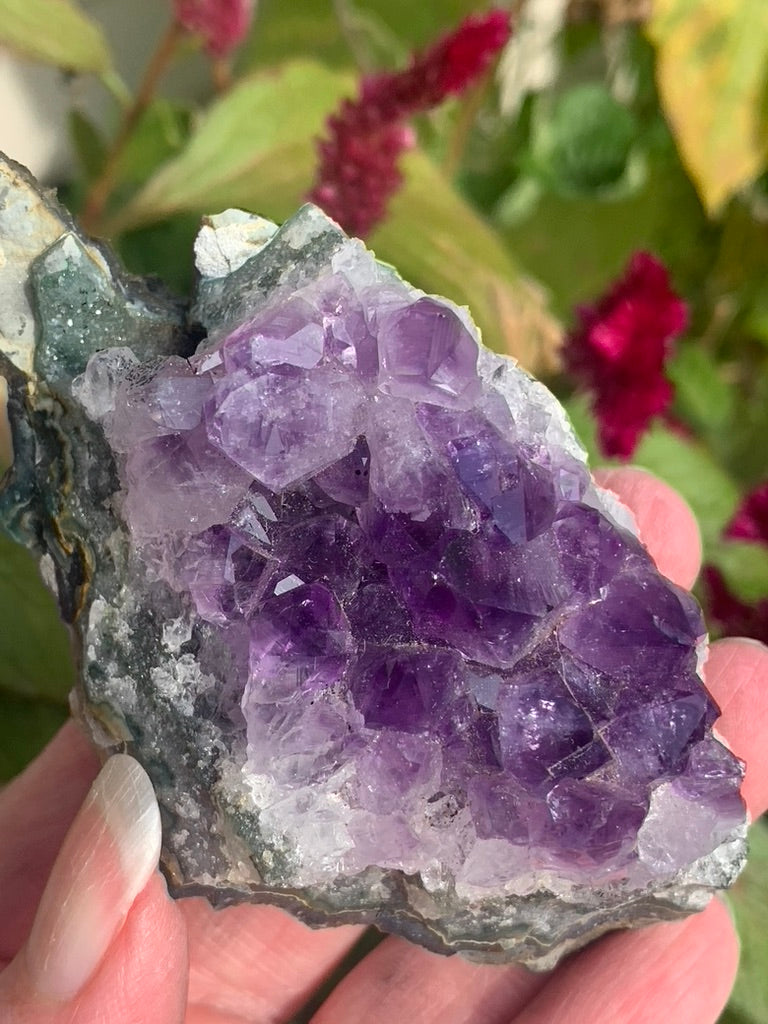 Amethyst Cluster with Goethite Inclusions