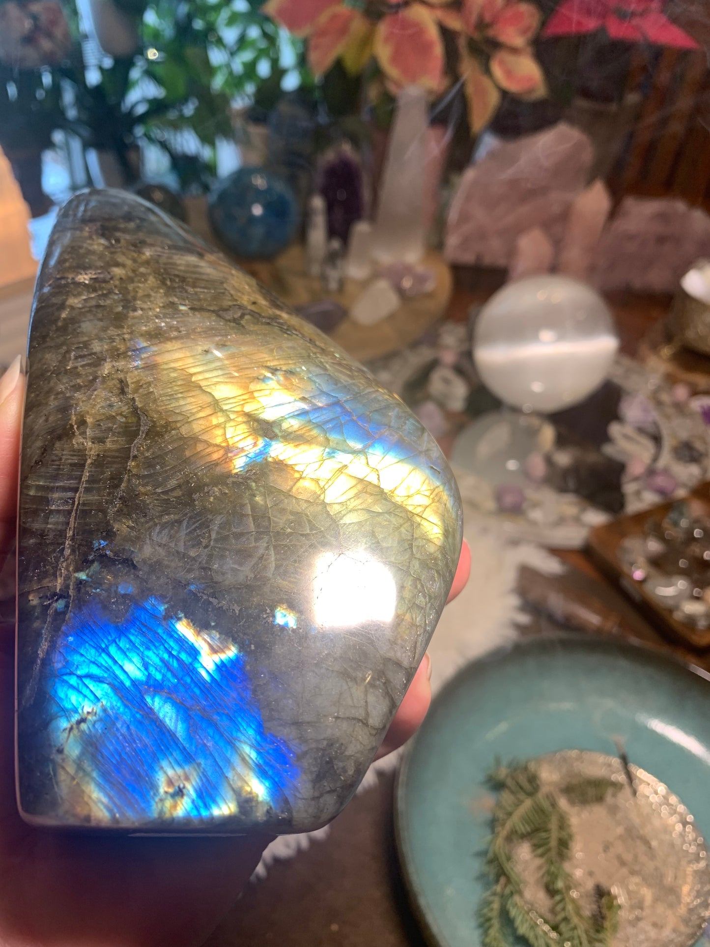 Labradorite freeform - Madagascar