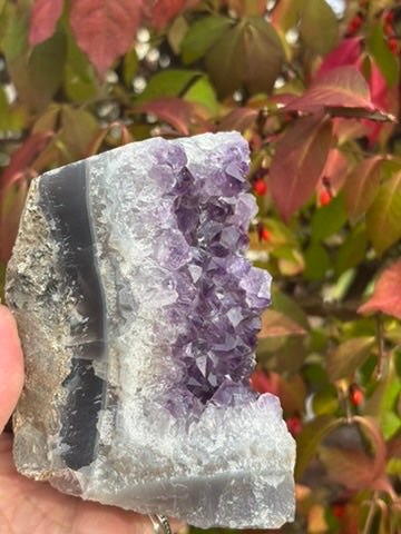 Amethyst Cluster