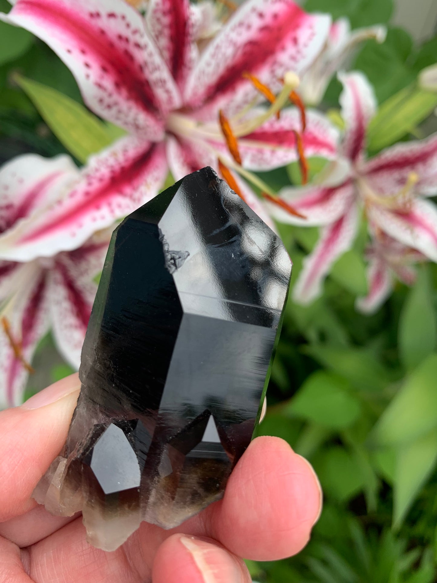 Smokey Quartz Cluster - Arkansas