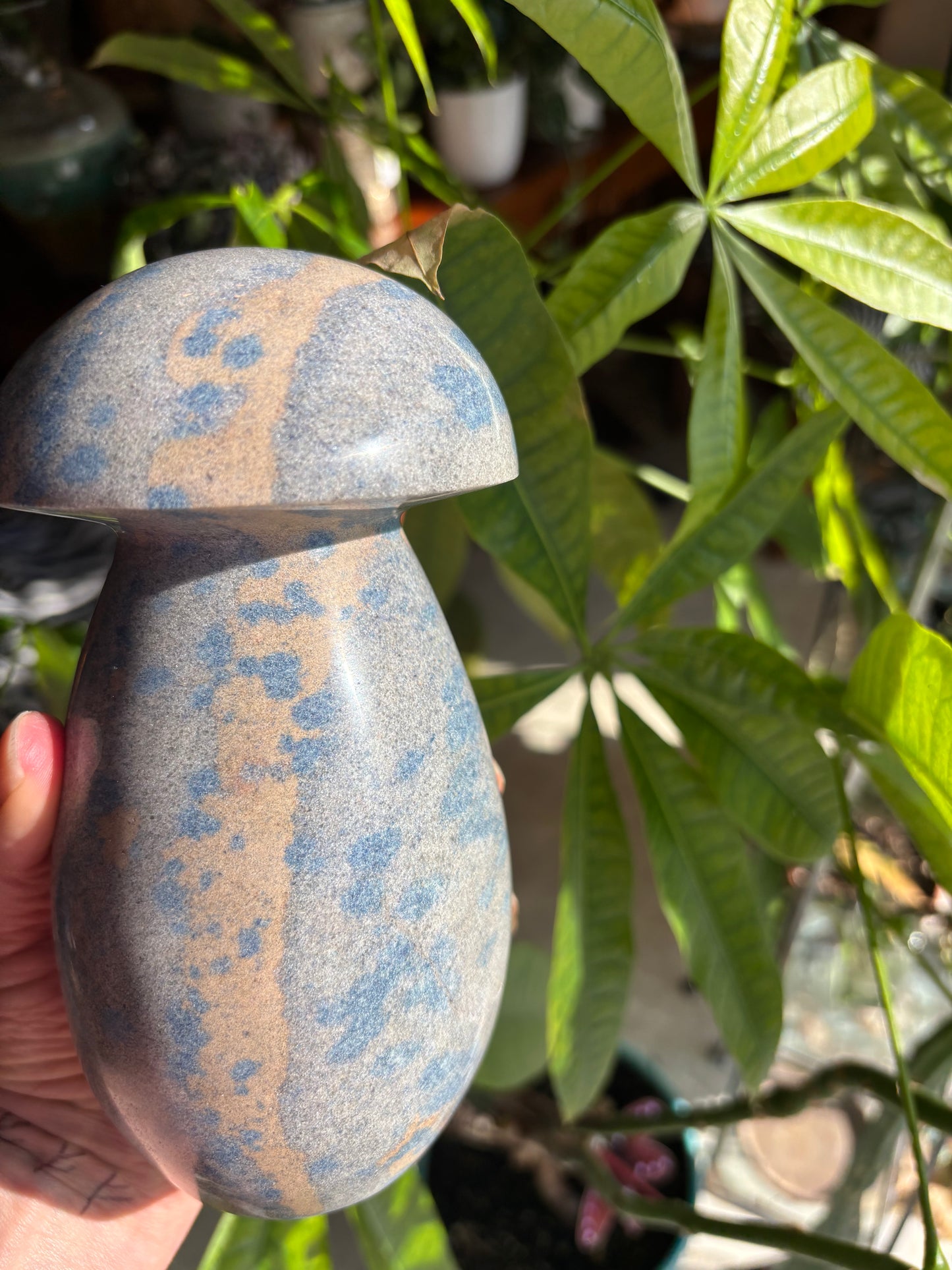 Blue Apatite in Clevelandite - Madagascar