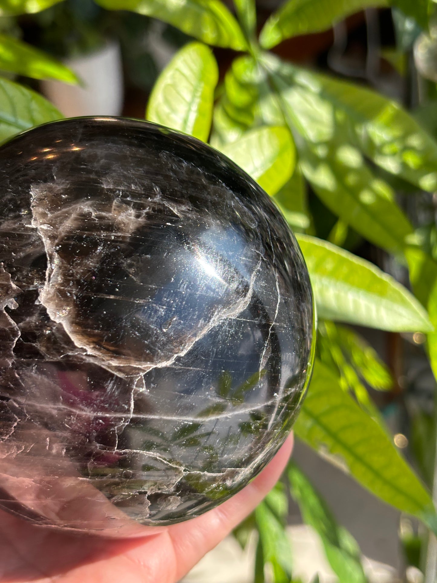 XL Smokey Quartz Sphere - Madagascar