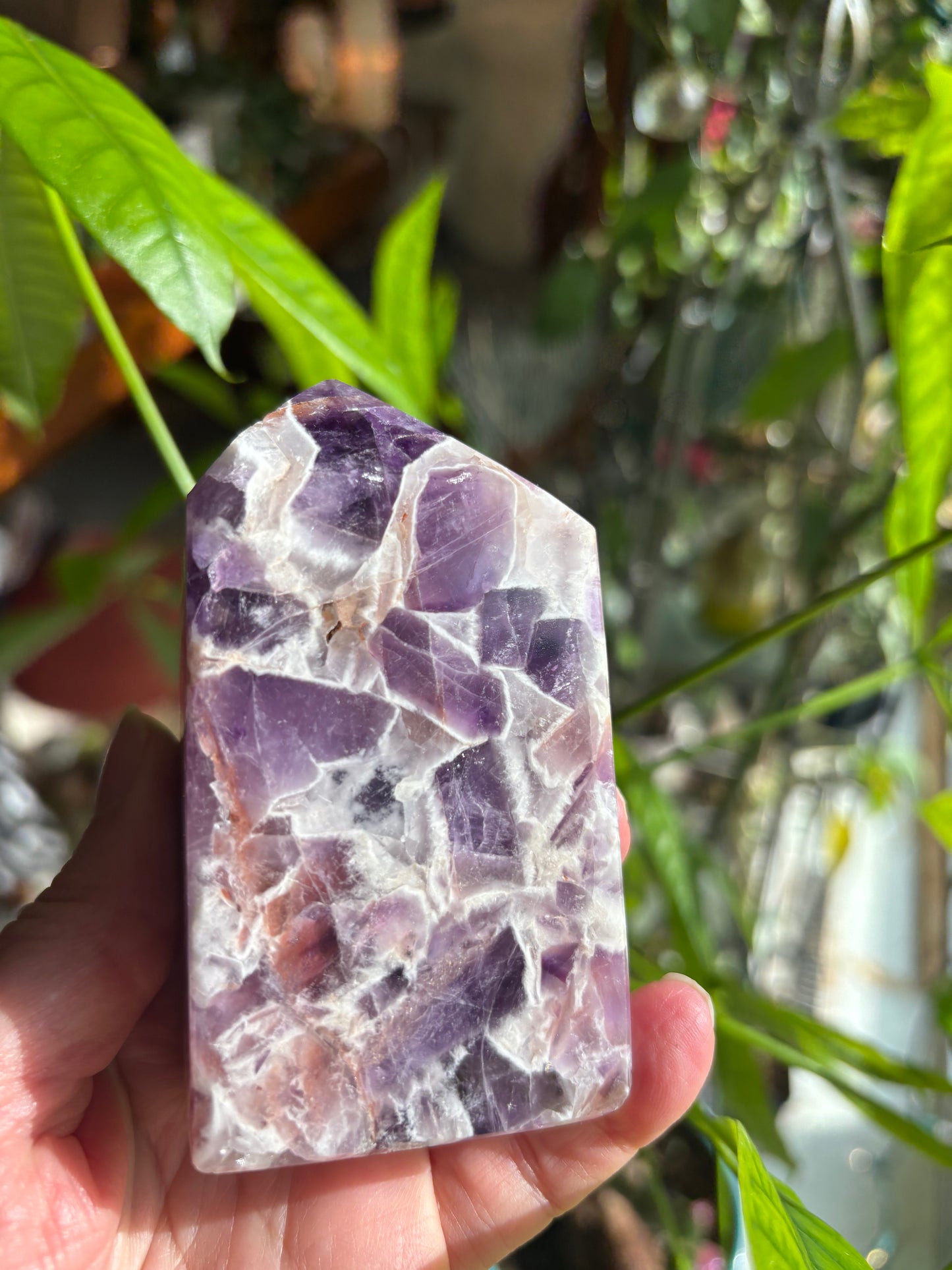 Dream Amethyst - Tower | Uruguay