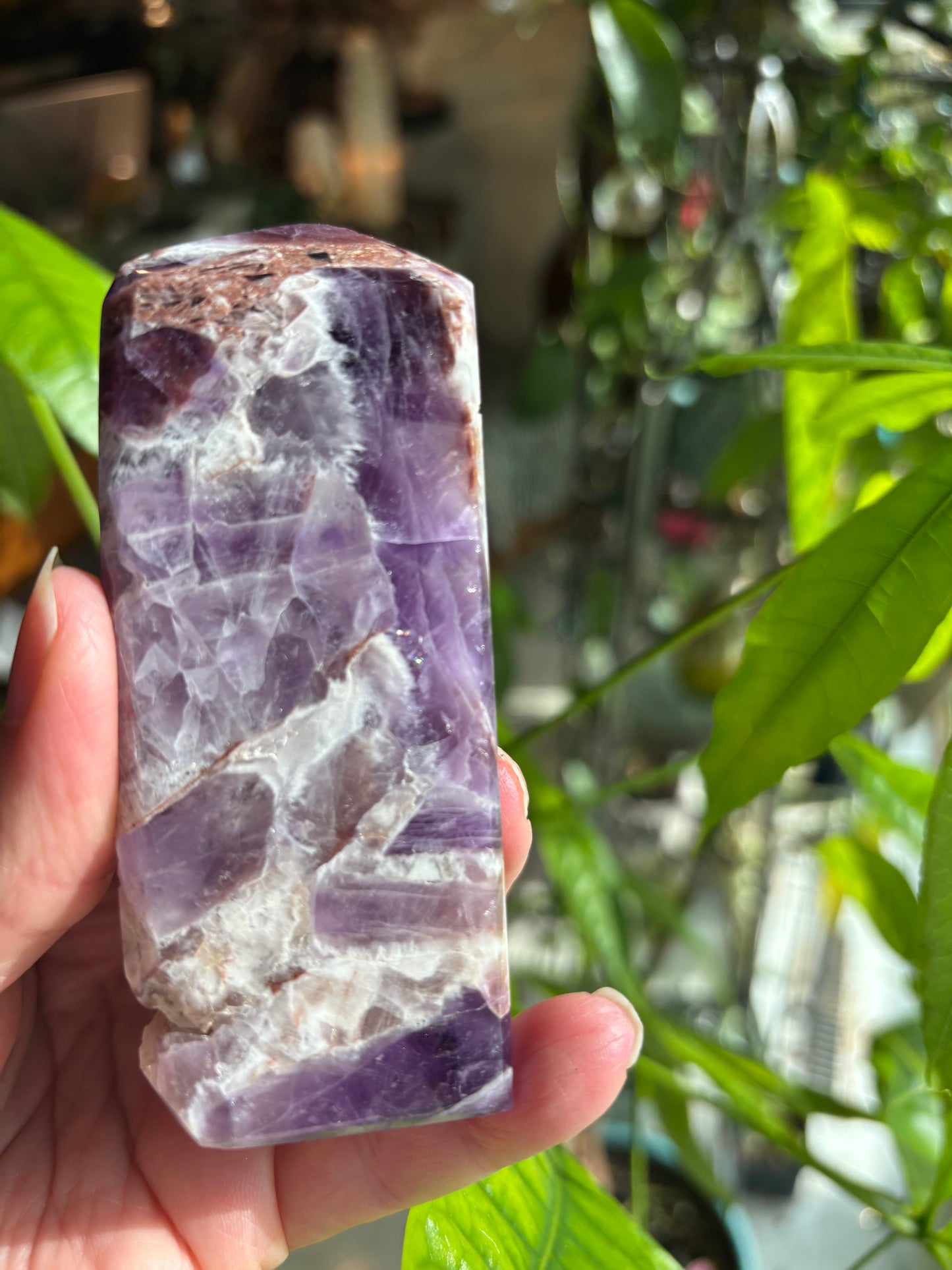 Dream Amethyst - Tower | Uruguay