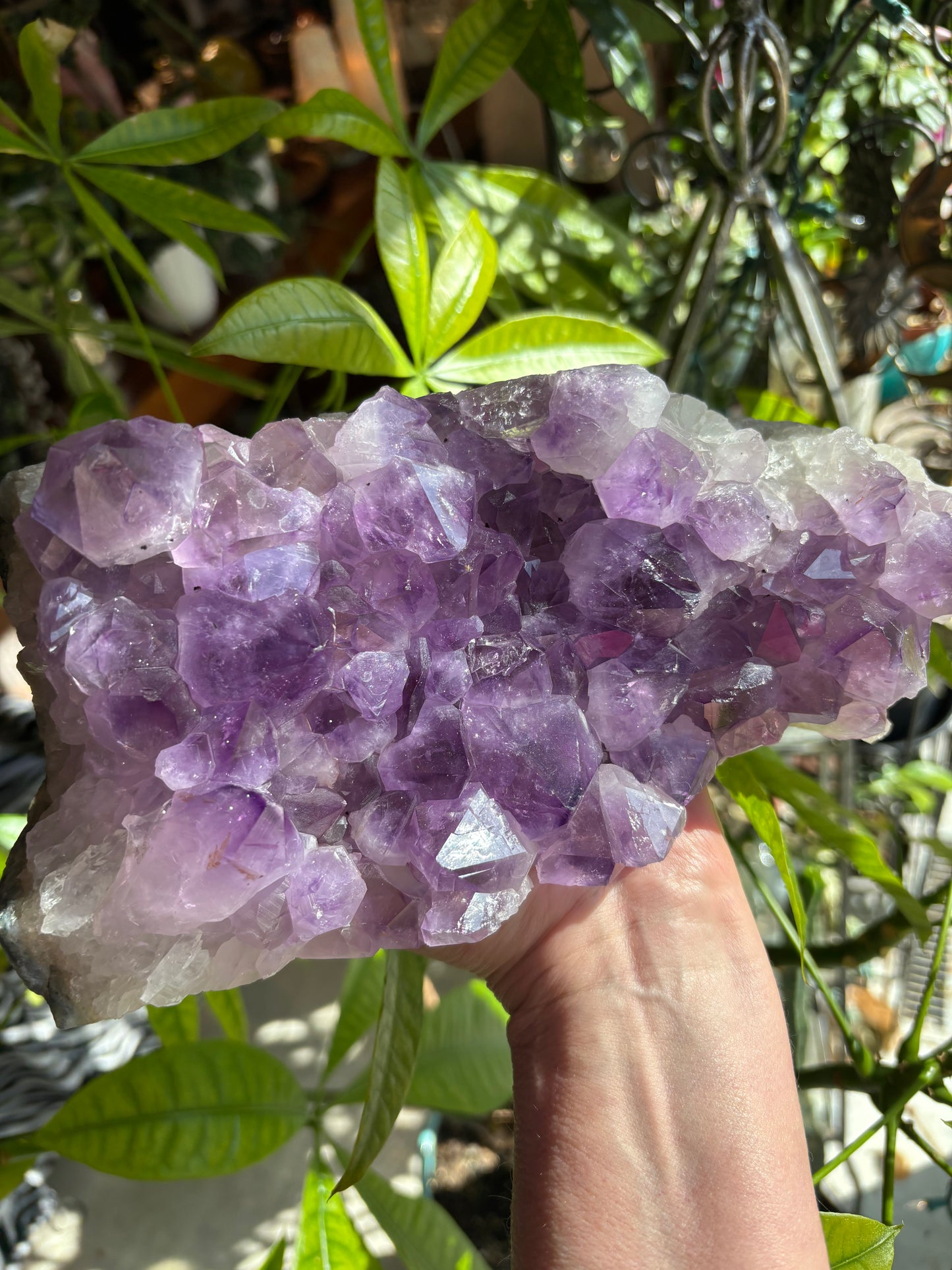Amethyst Cluster