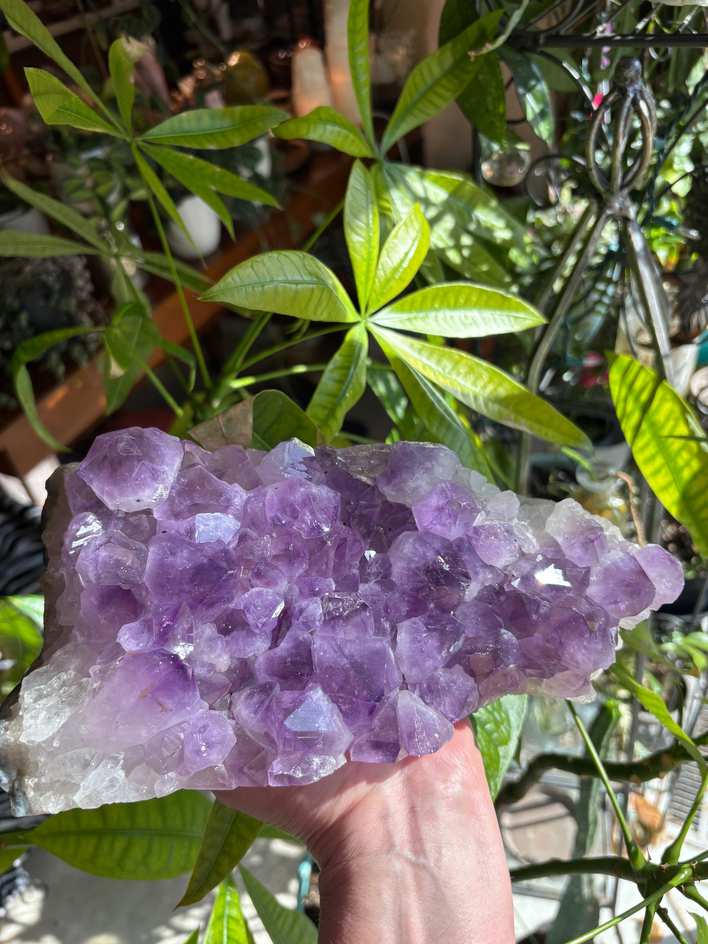 Amethyst Cluster