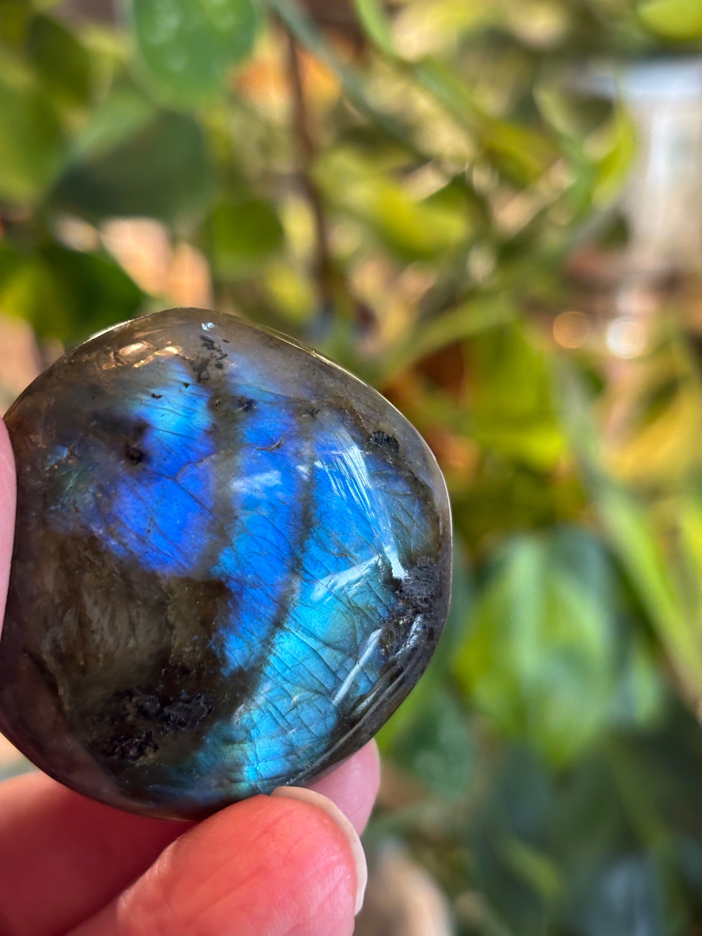 Labradorite - Palm Stone | Madagascar