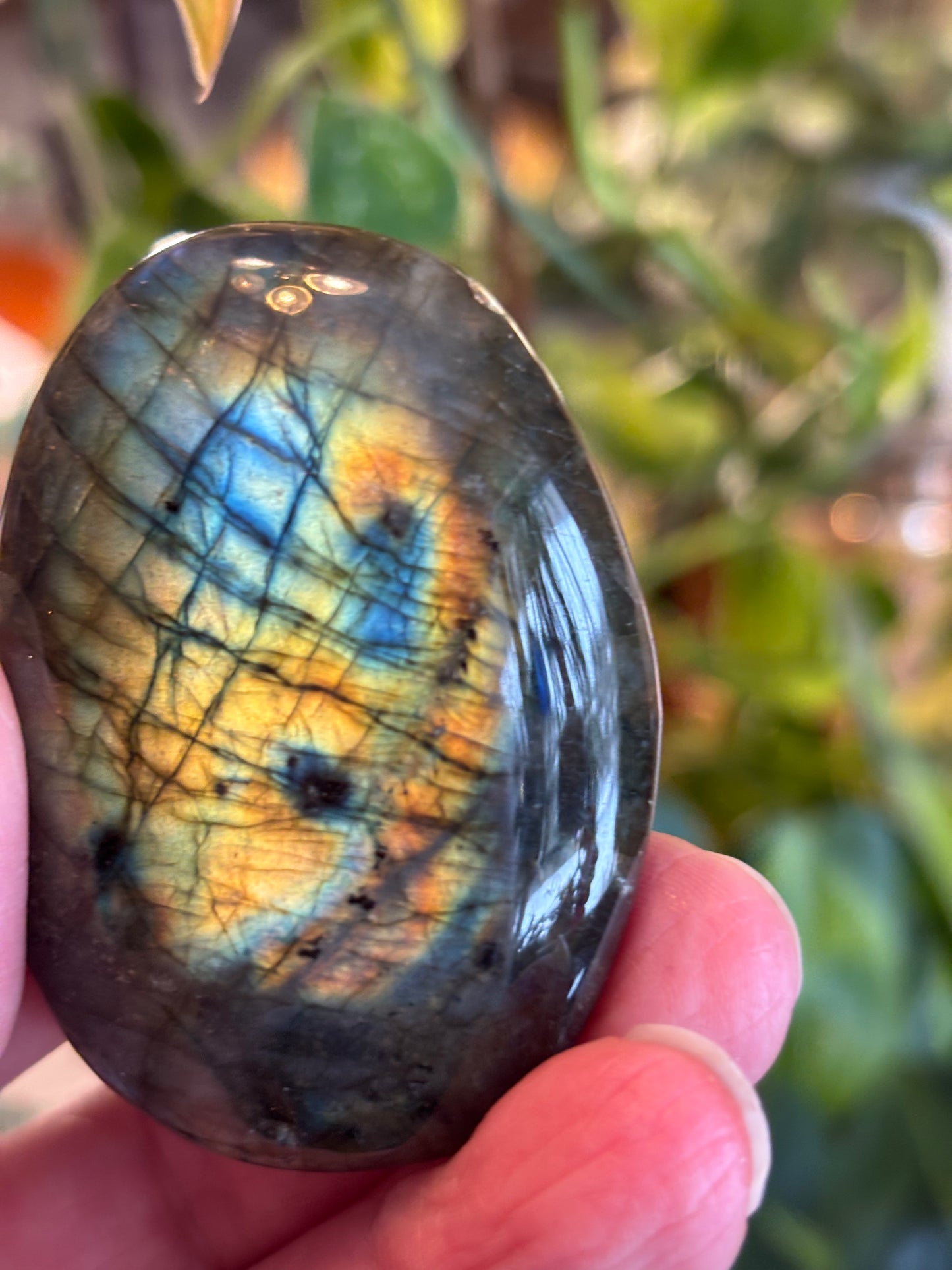 Labradorite - Palm Stone | Madagascar