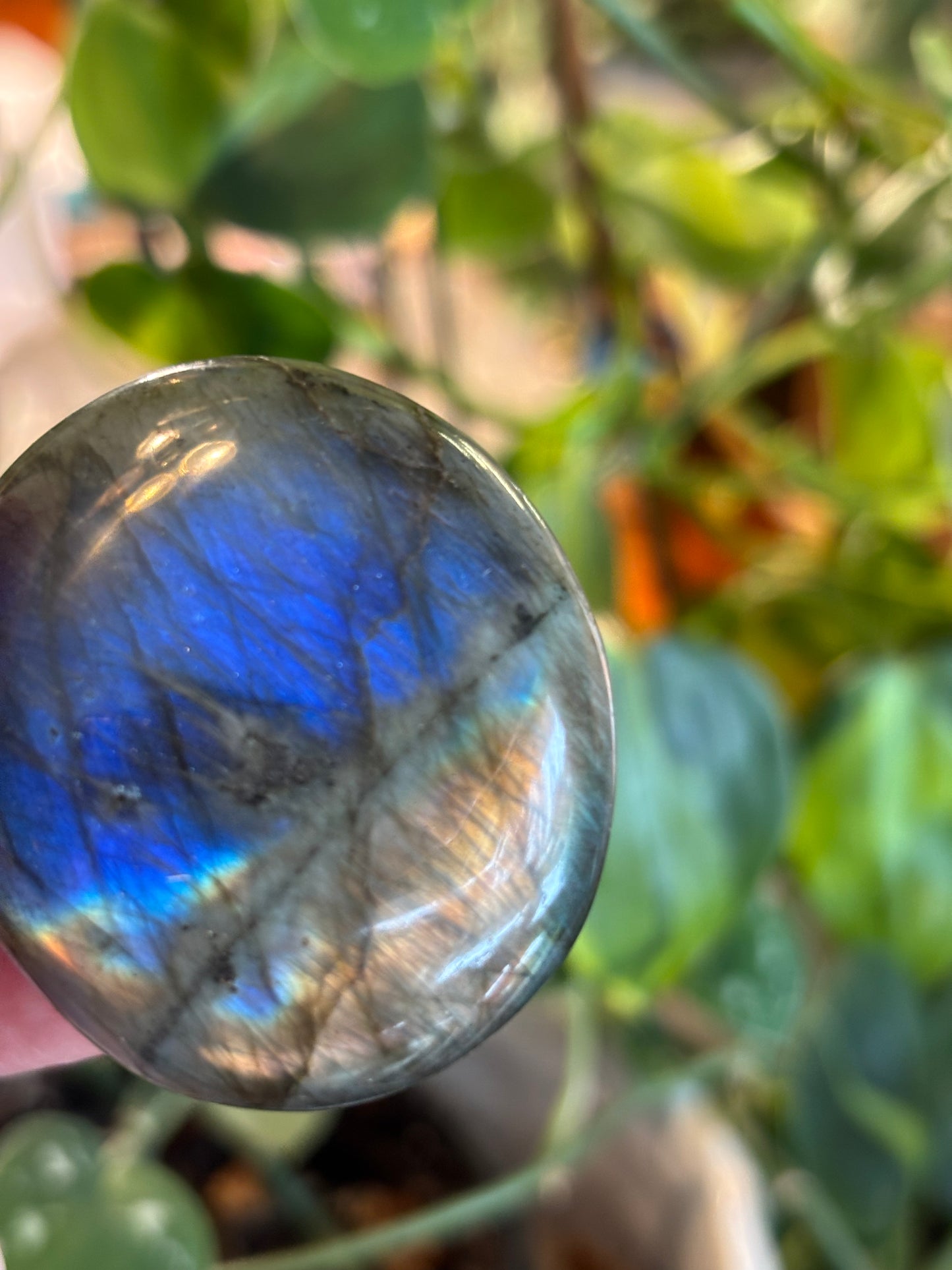 Labradorite - Palm Stone | Madagascar