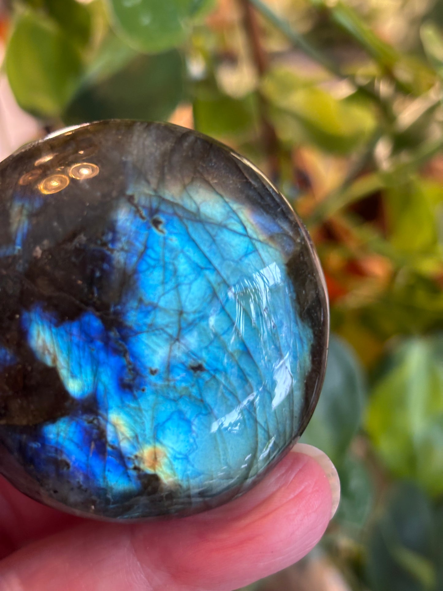 Labradorite - Palm Stone | Madagascar
