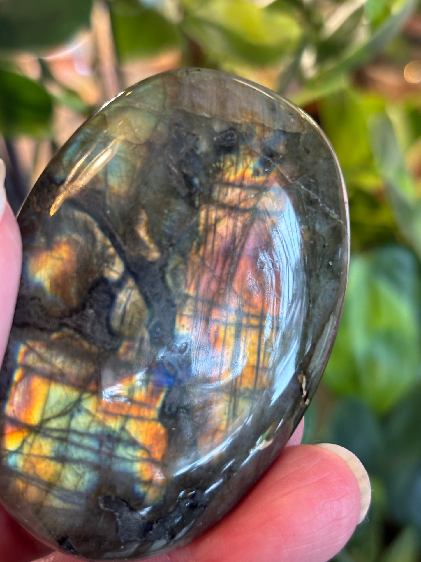 Labradorite - Palm Stone | Madagascar