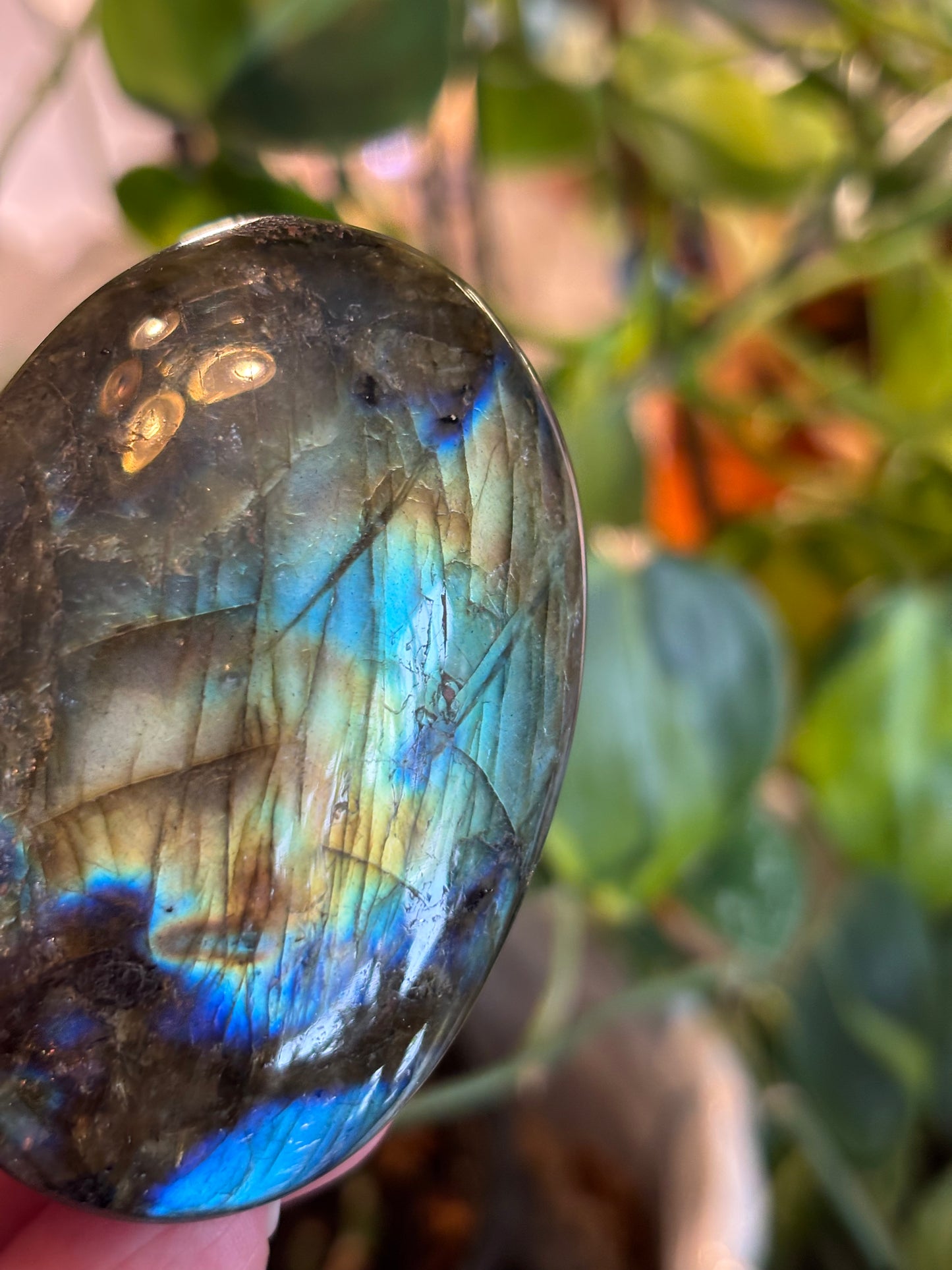 Labradorite - Palm Stone | Madagascar