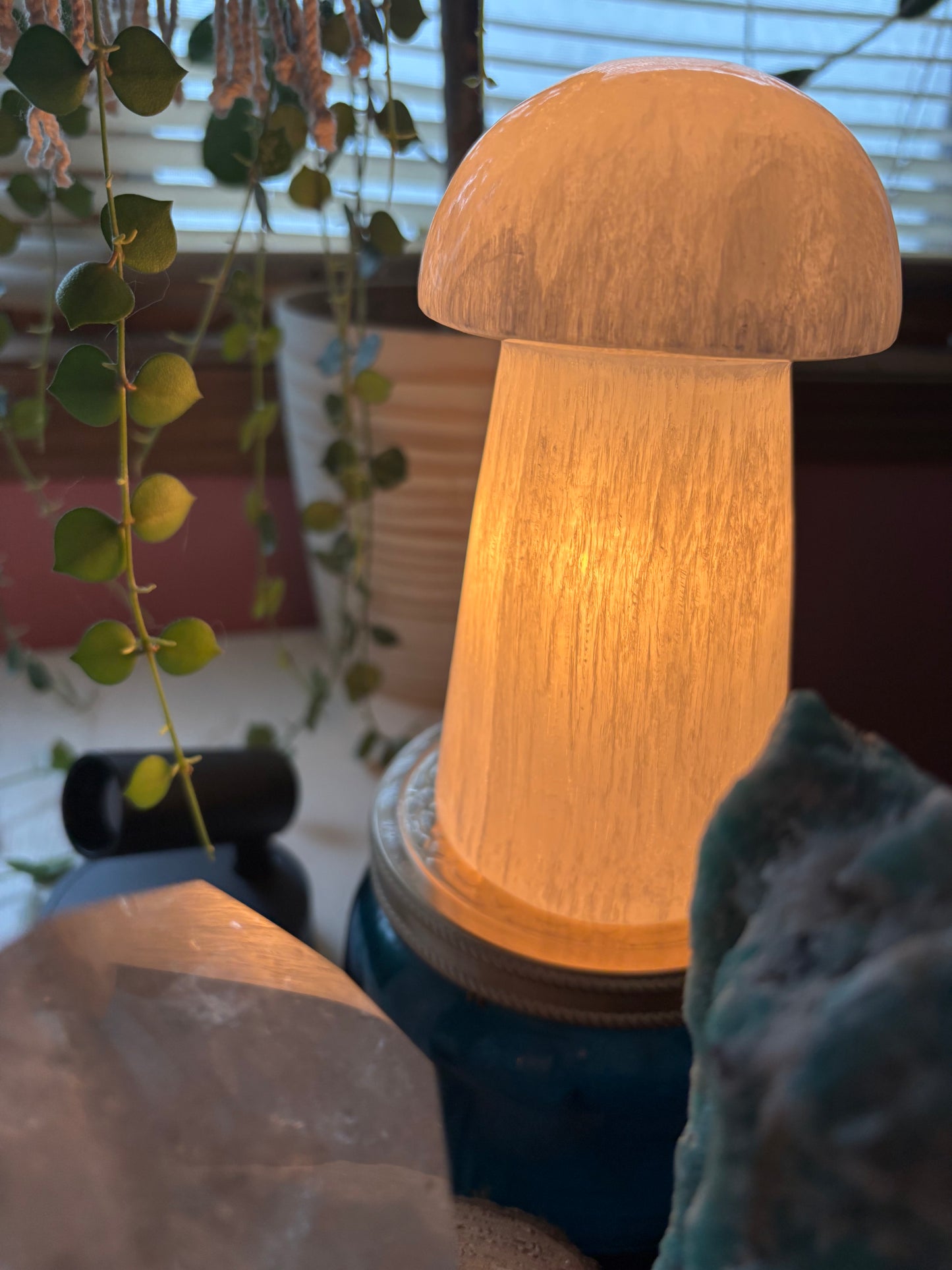 Selenite Mushroom - Lamp