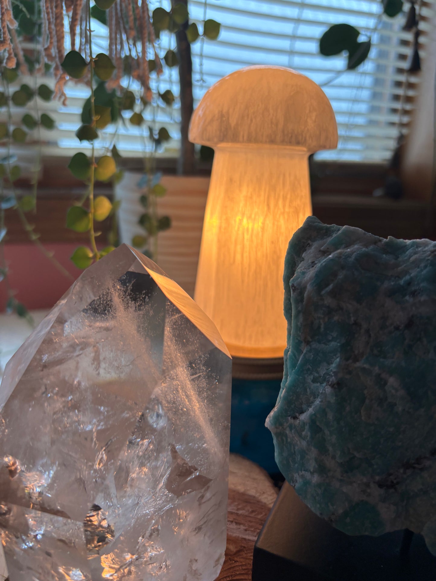 Selenite Mushroom - Lamp