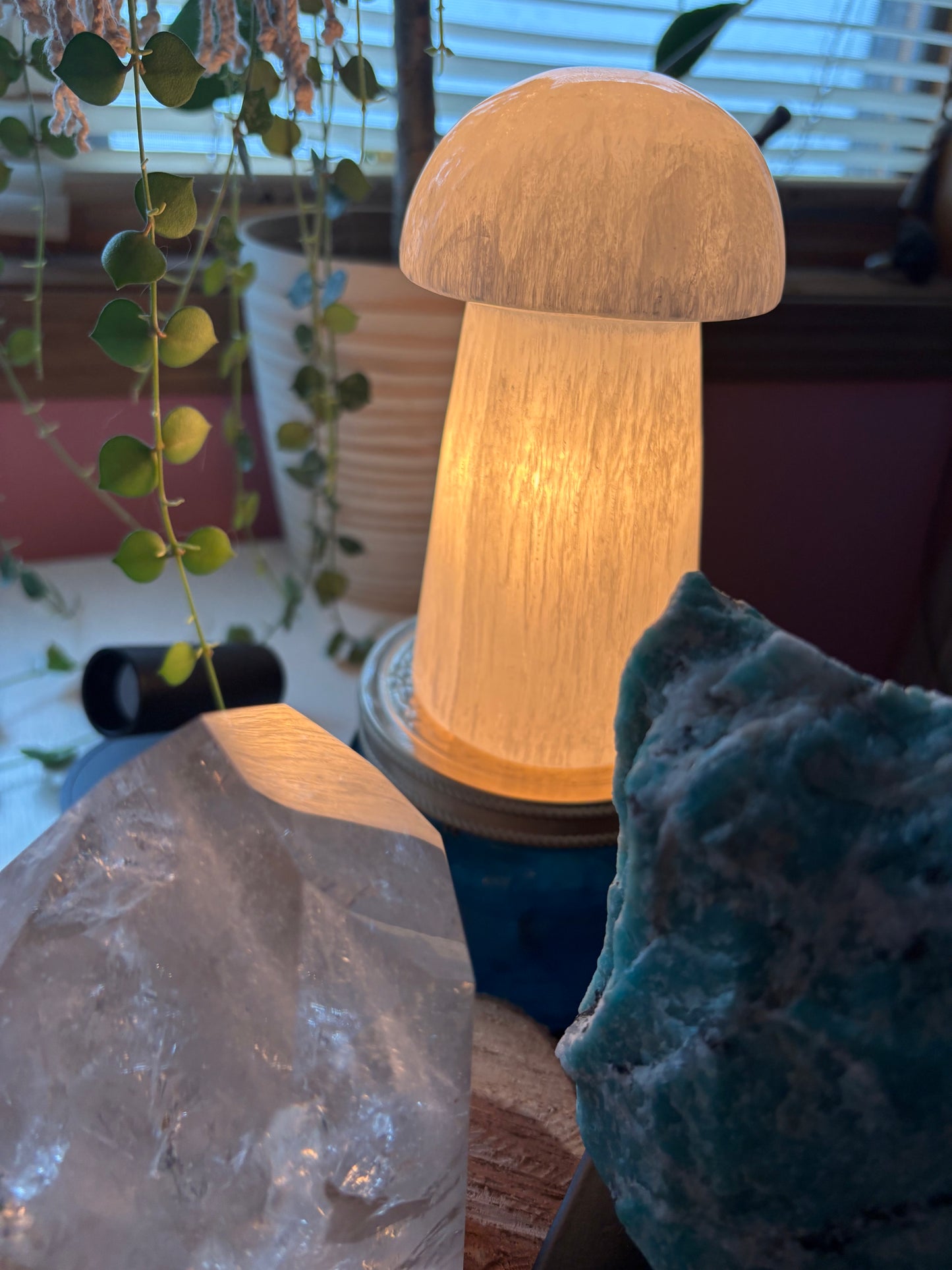 Selenite Mushroom - Lamp
