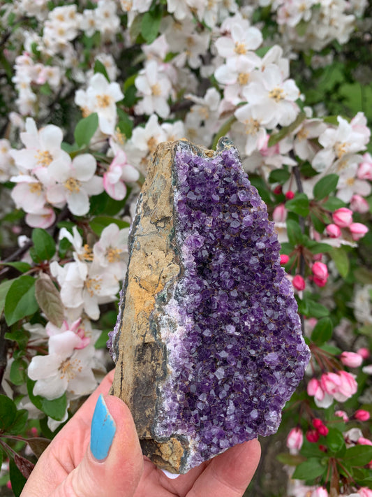 Amethyst Cluster