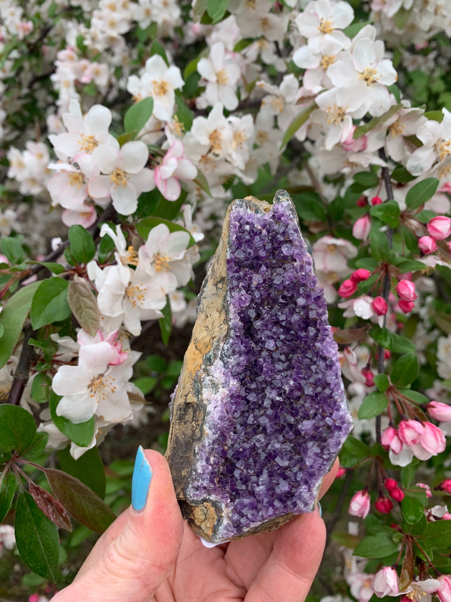 Amethyst Cluster